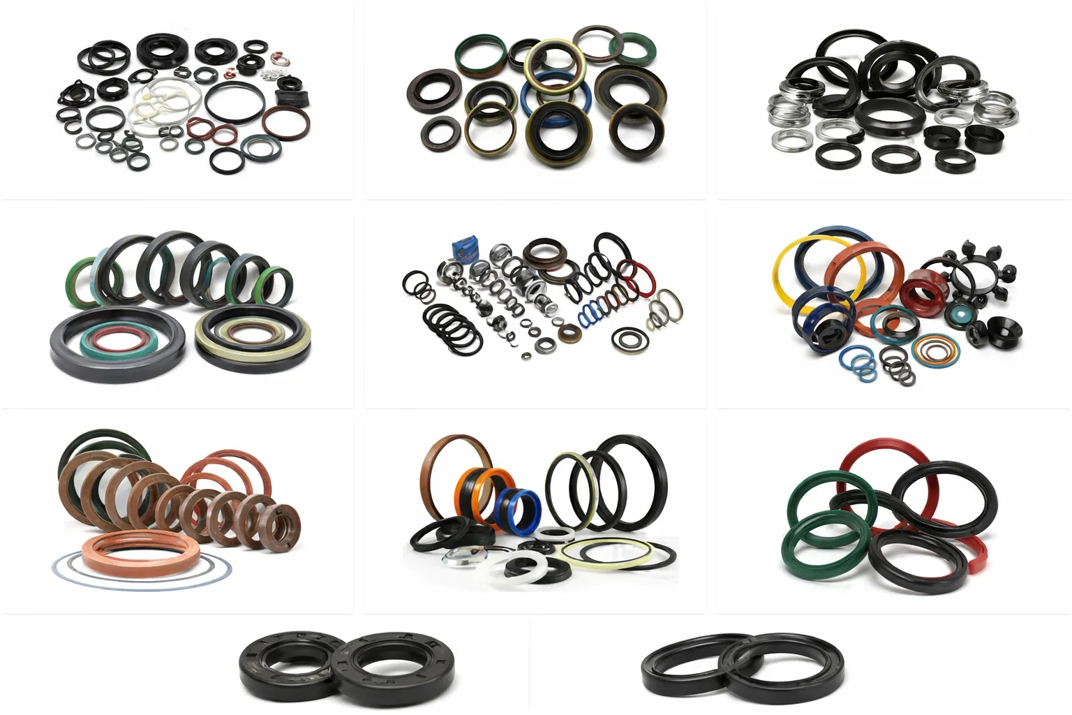 Oil Seal